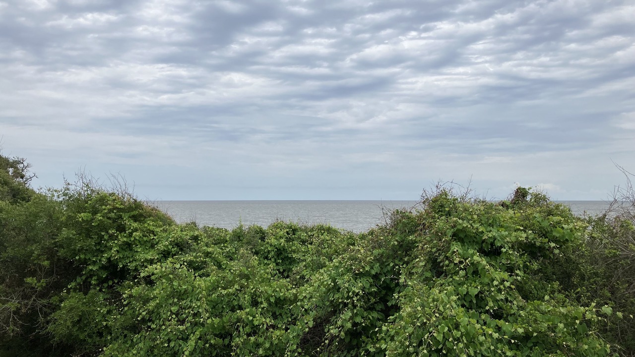 Photo of Others in Jekyll Island