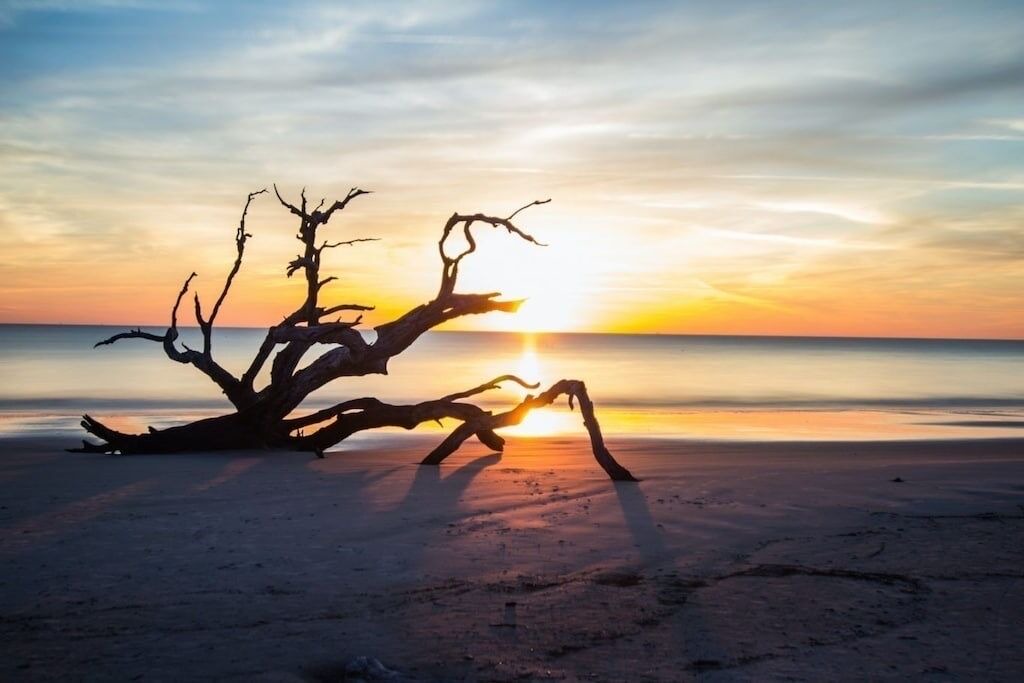 Photo of Others in Jekyll Island