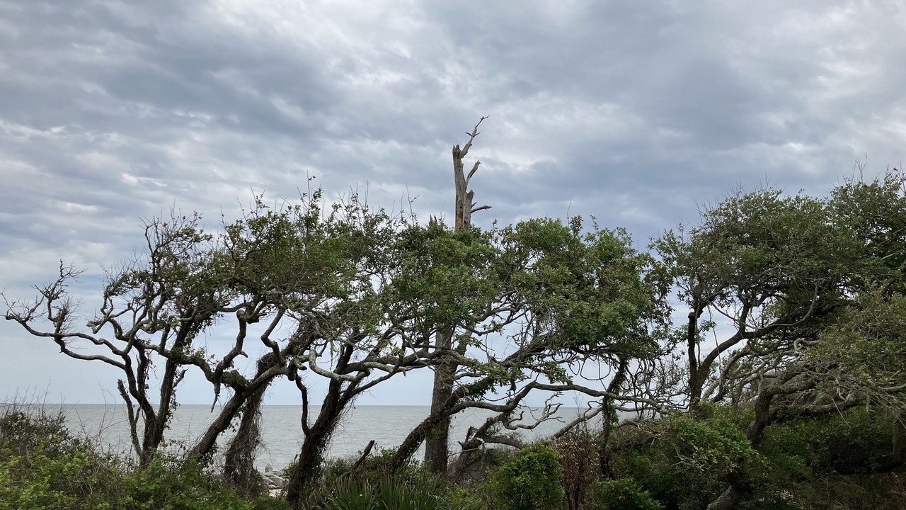 Photo of Others in Jekyll Island
