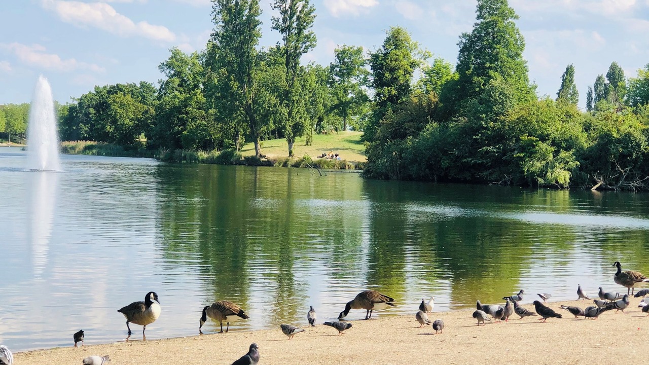 Photo of Outdoor in Champeval