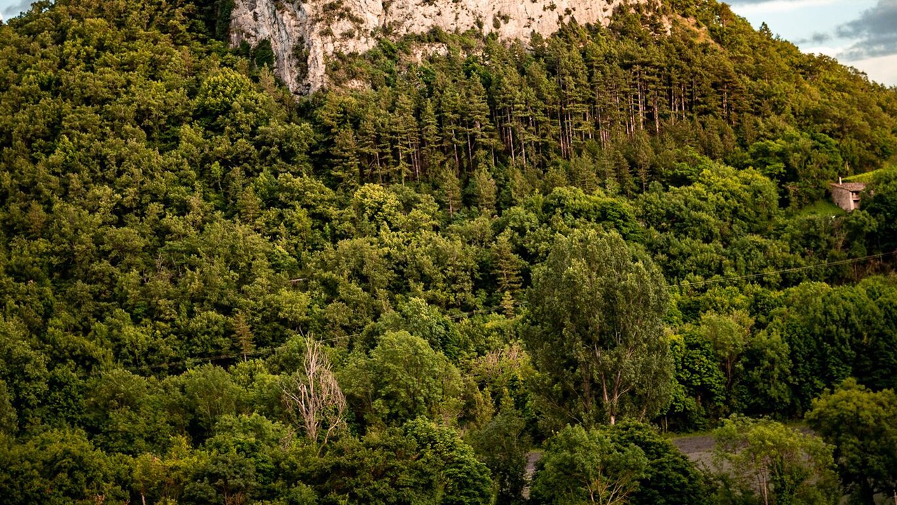 Photo of Outdoor in Saou