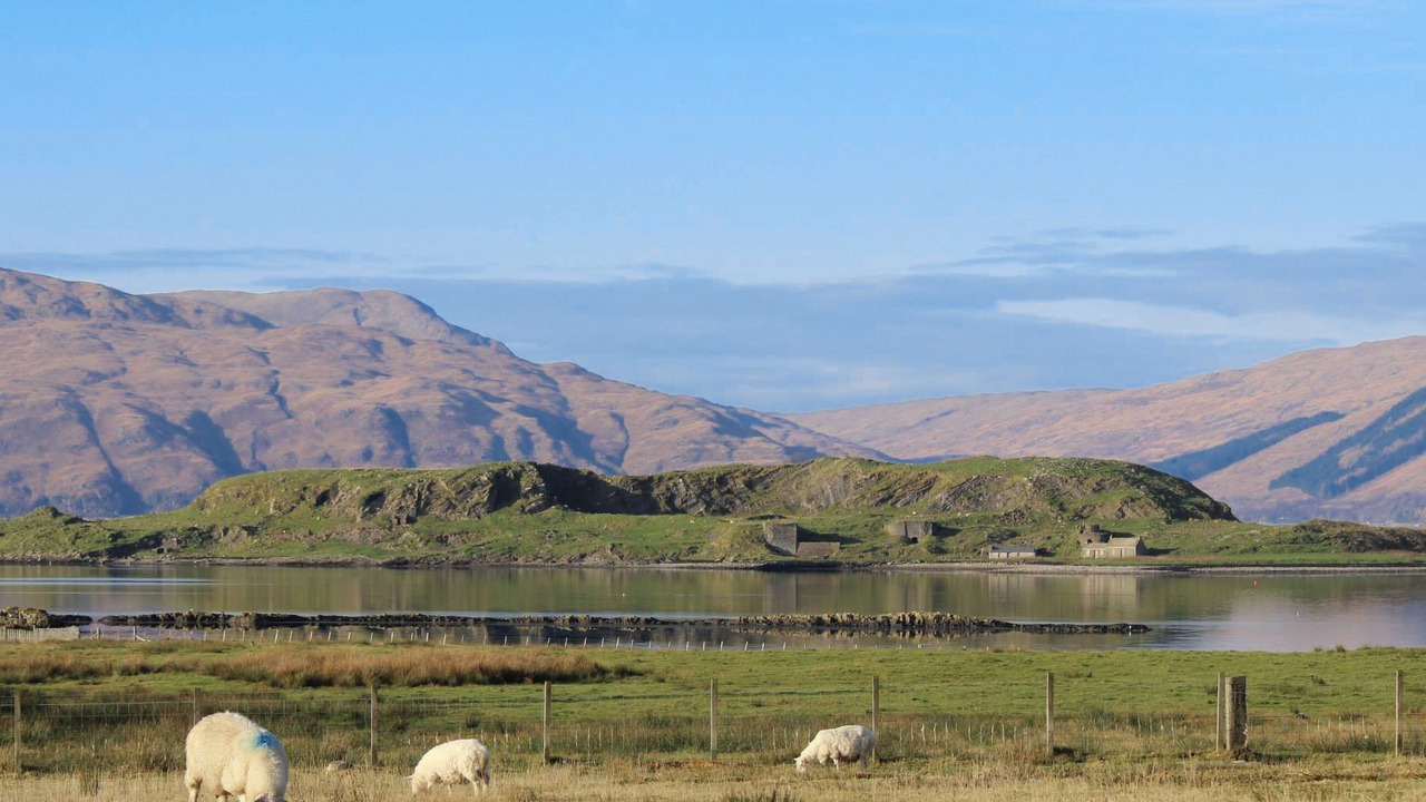 Photo of Others in Port Appin