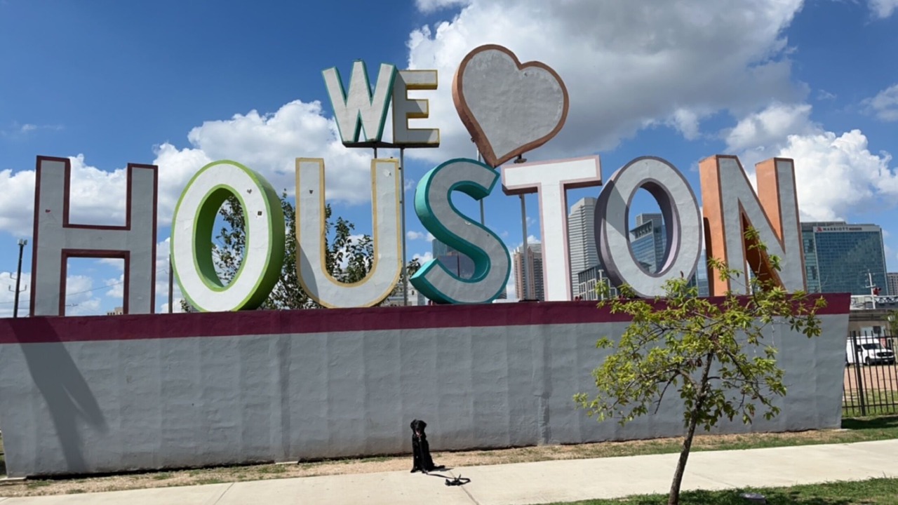 Photo of Others in Downtown Houston