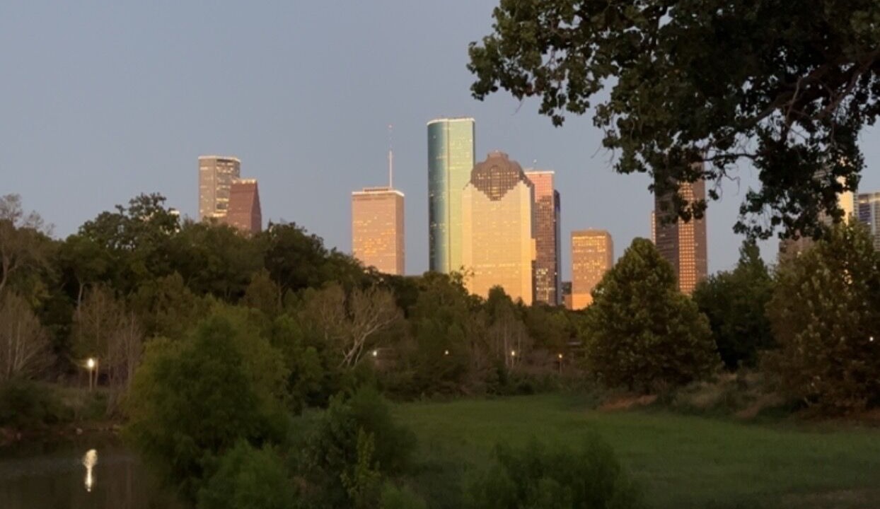 Photo of Others in Downtown Houston