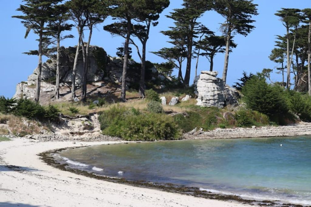 Photo of Others in Saint-Pol-de-Leon