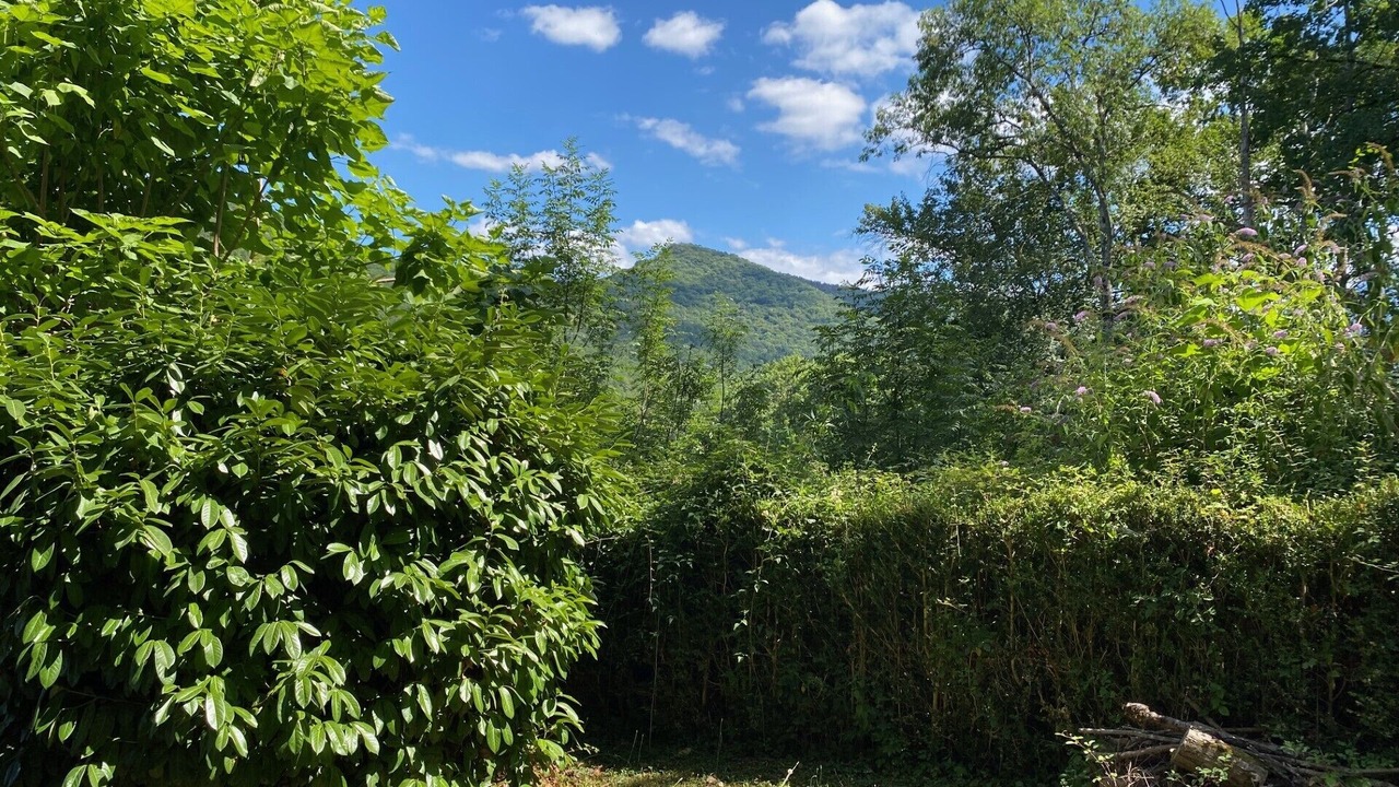 Photo of Outdoor in Encausse-les-Thermes