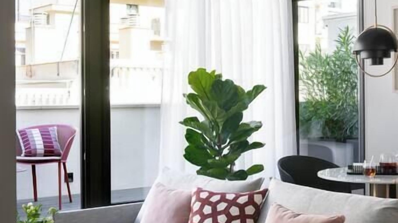 Photo of Livingroom in Eixample