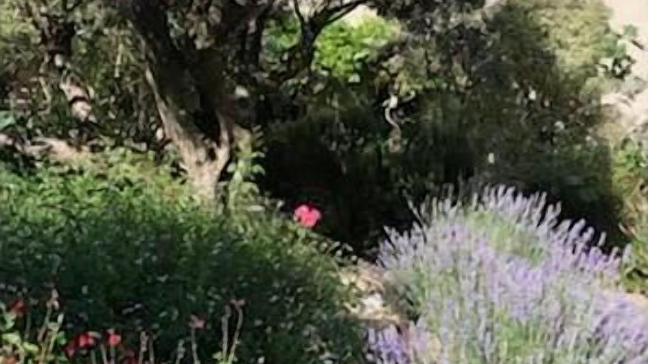 Photo of Outdoor in Limoux