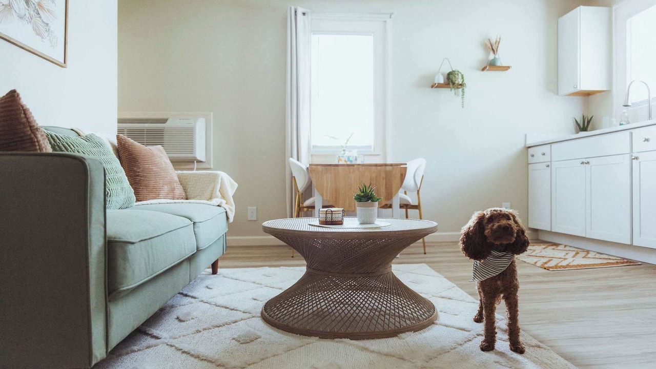 Photo of Livingroom in Johnson City