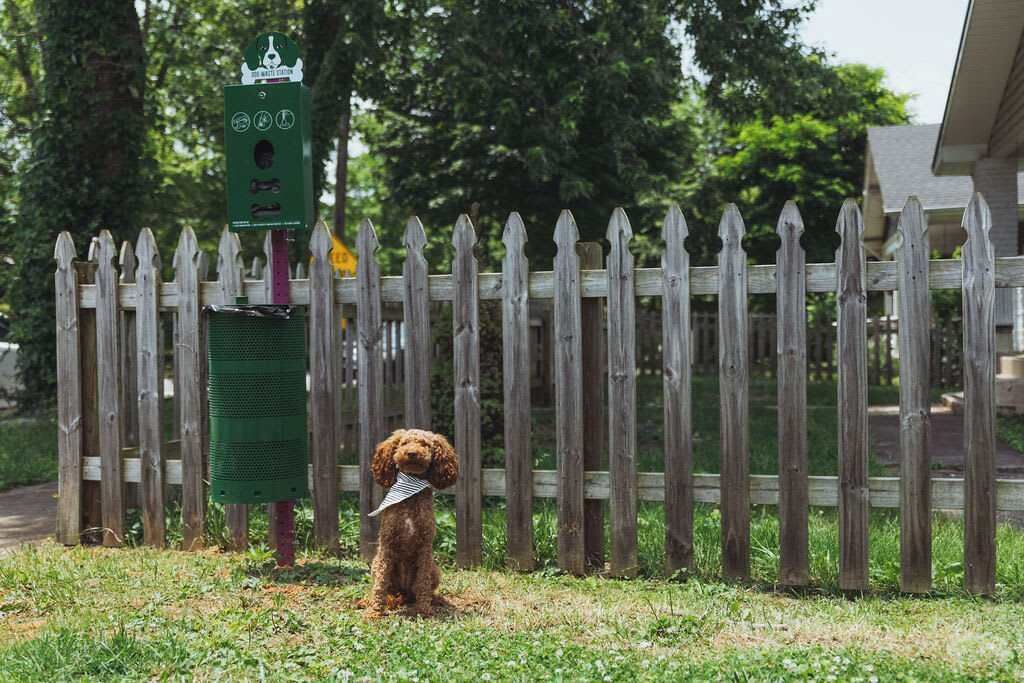 Photo of Outdoor in Johnson City