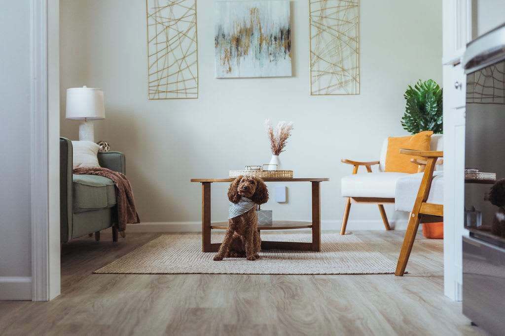 Photo of Livingroom in Johnson City