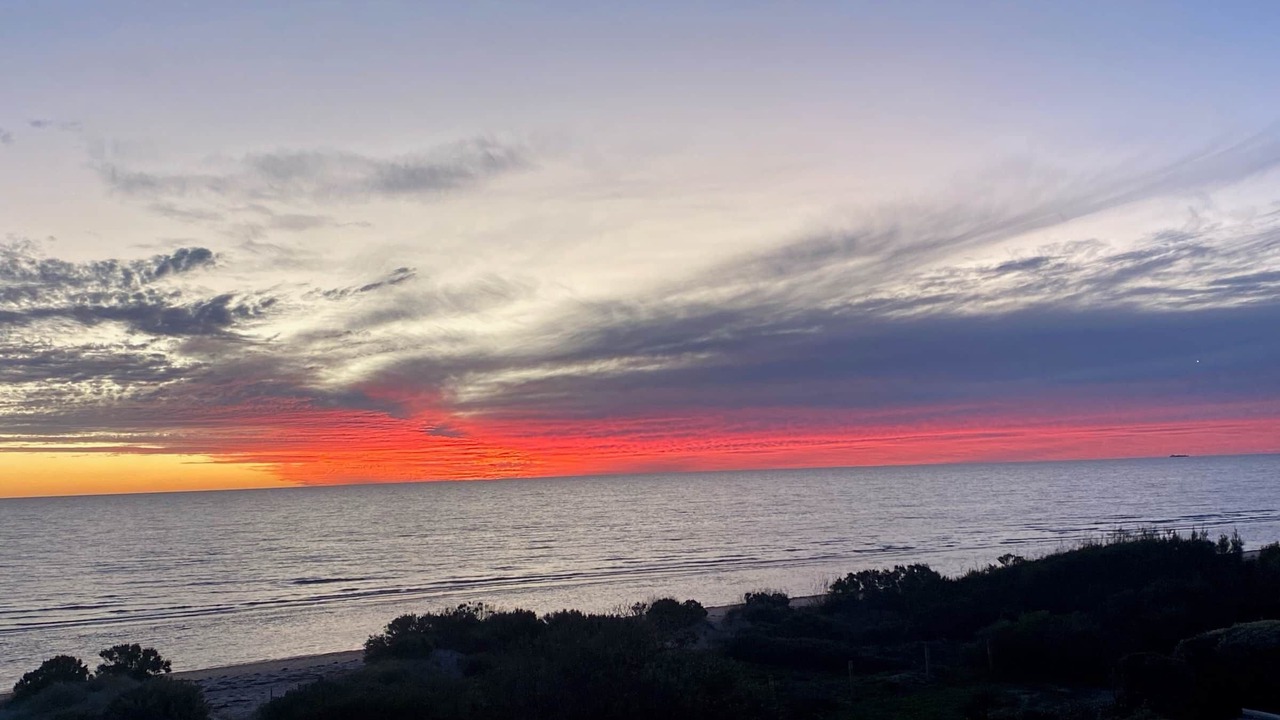 Photo of Others in Semaphore Park
