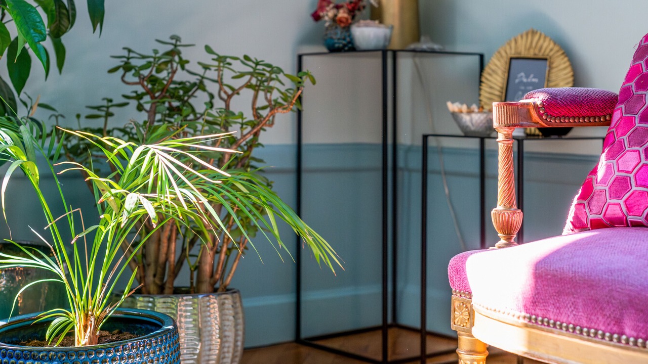 Photo of Others in Champagne-au-Mont-d'Or