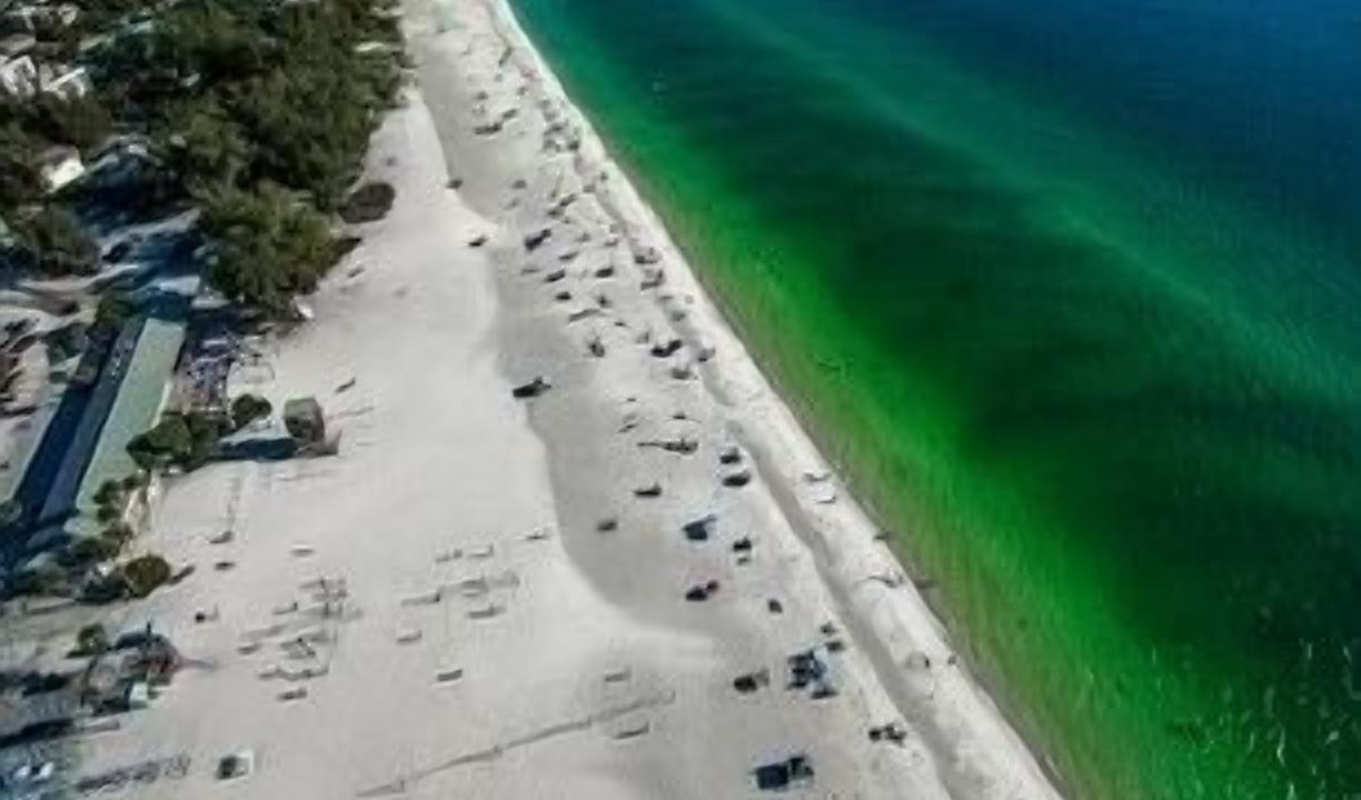 Photo of Others in Anna Maria