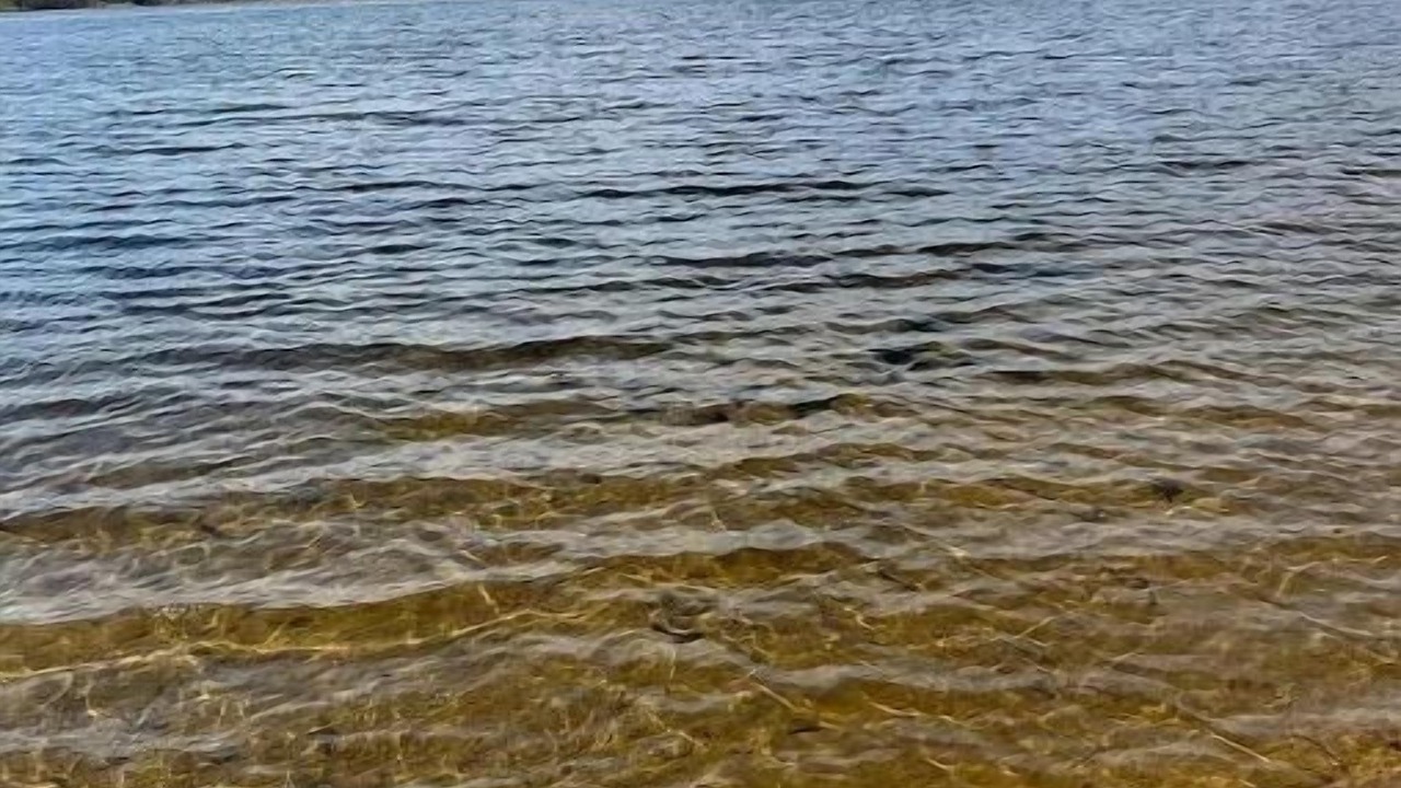 Photo of Others in Manistee