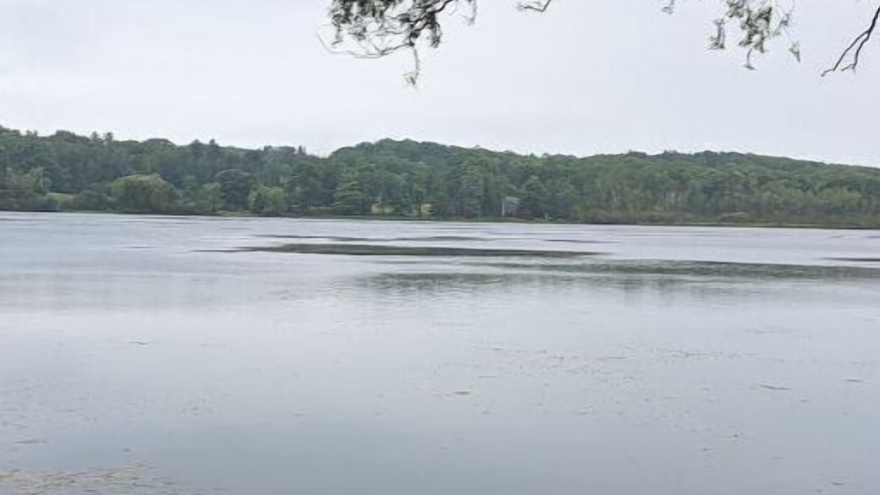 Photo of Outdoor in Manistee
