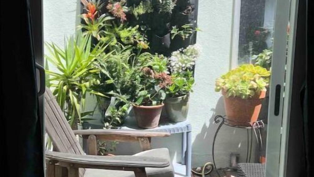 Photo of Others in Eureka Valley