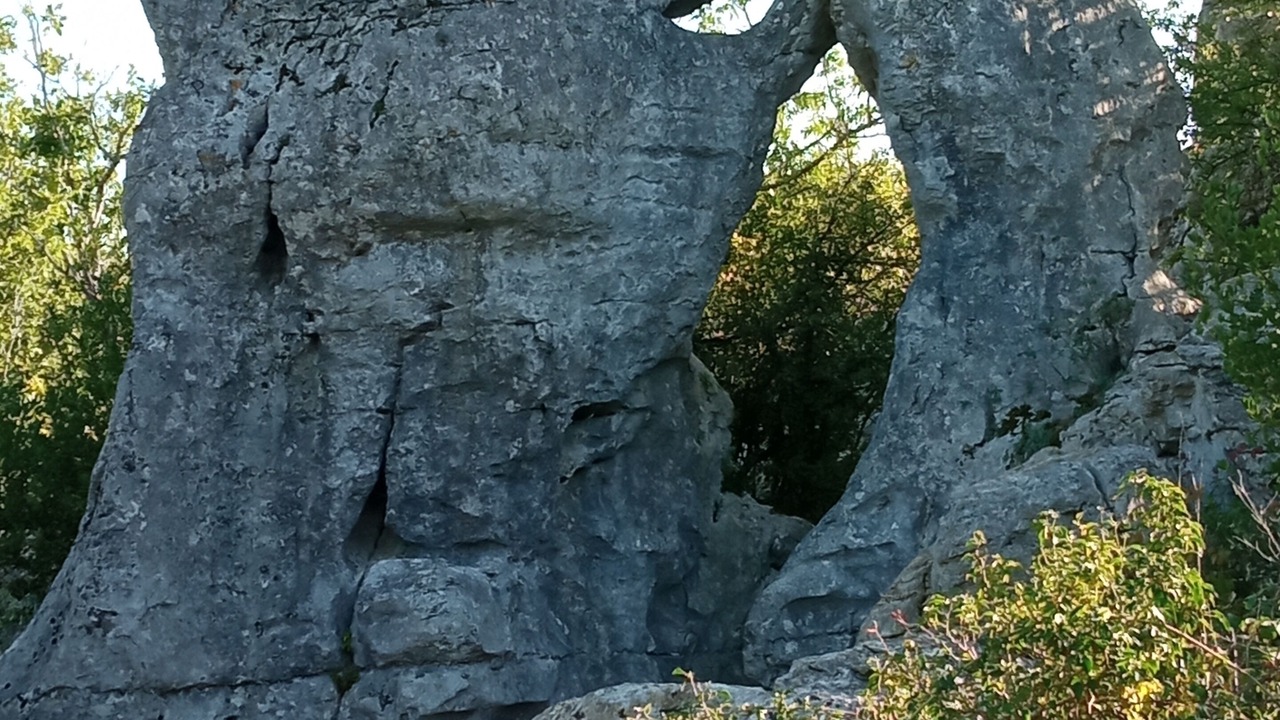 Photo of Others in Saint-Sauveur-de-Cruzieres
