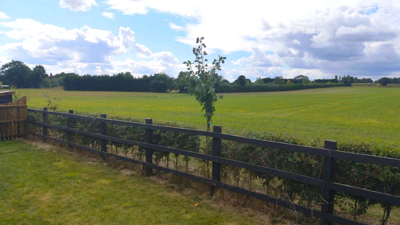 Photo of Others in Trowse Newton