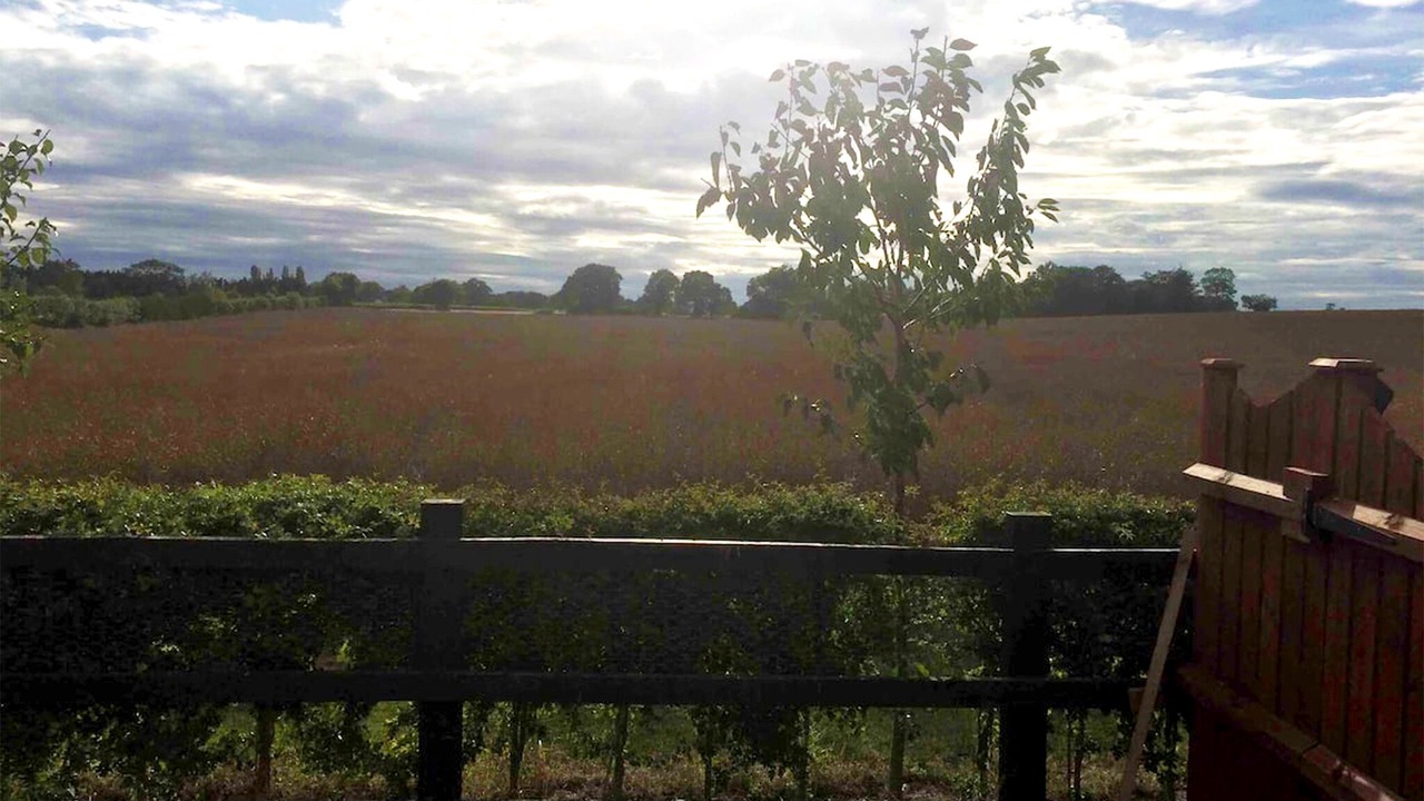 Photo of Others in Trowse Newton