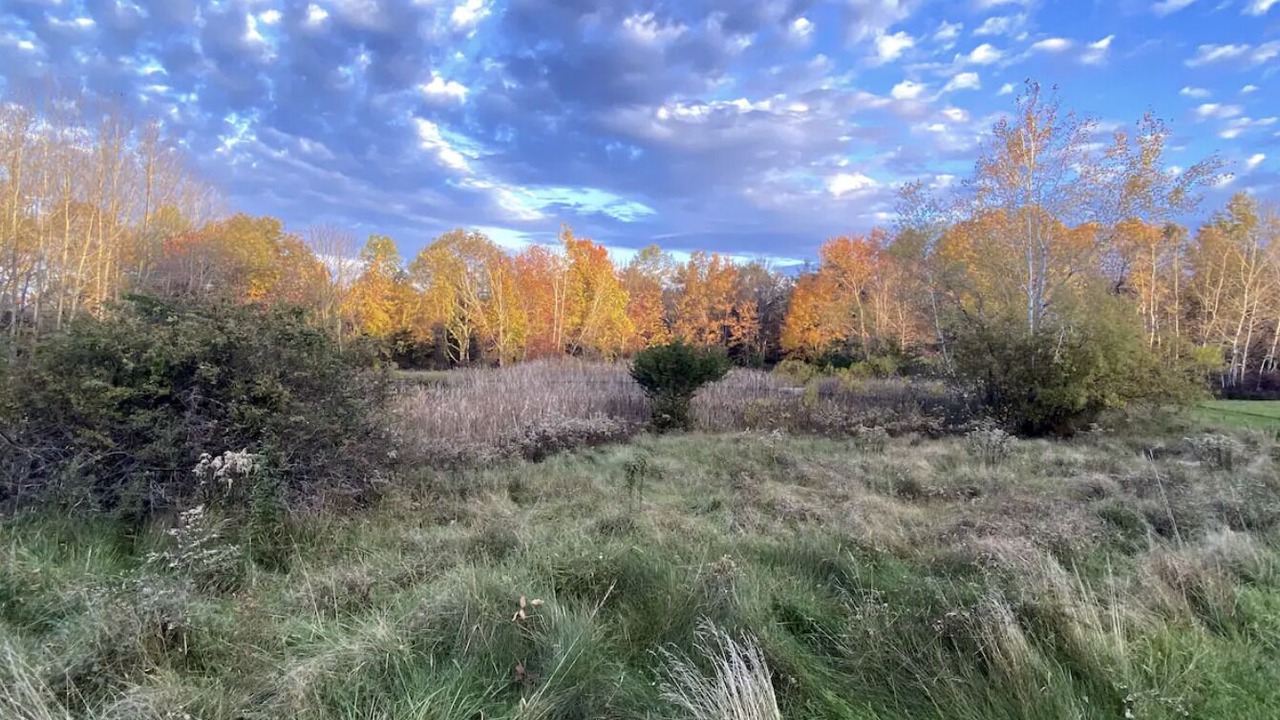 Photo of Outdoor in Taghkanic