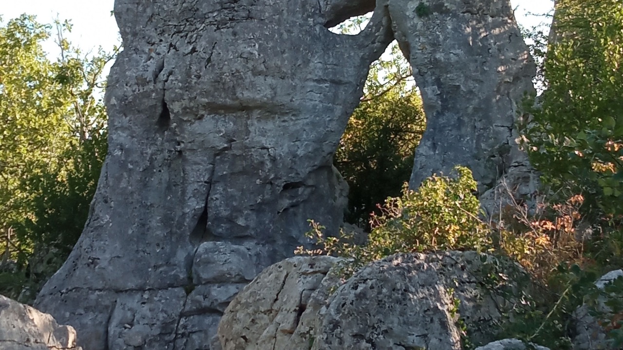 Photo of Others in Saint-Sauveur-de-Cruzieres