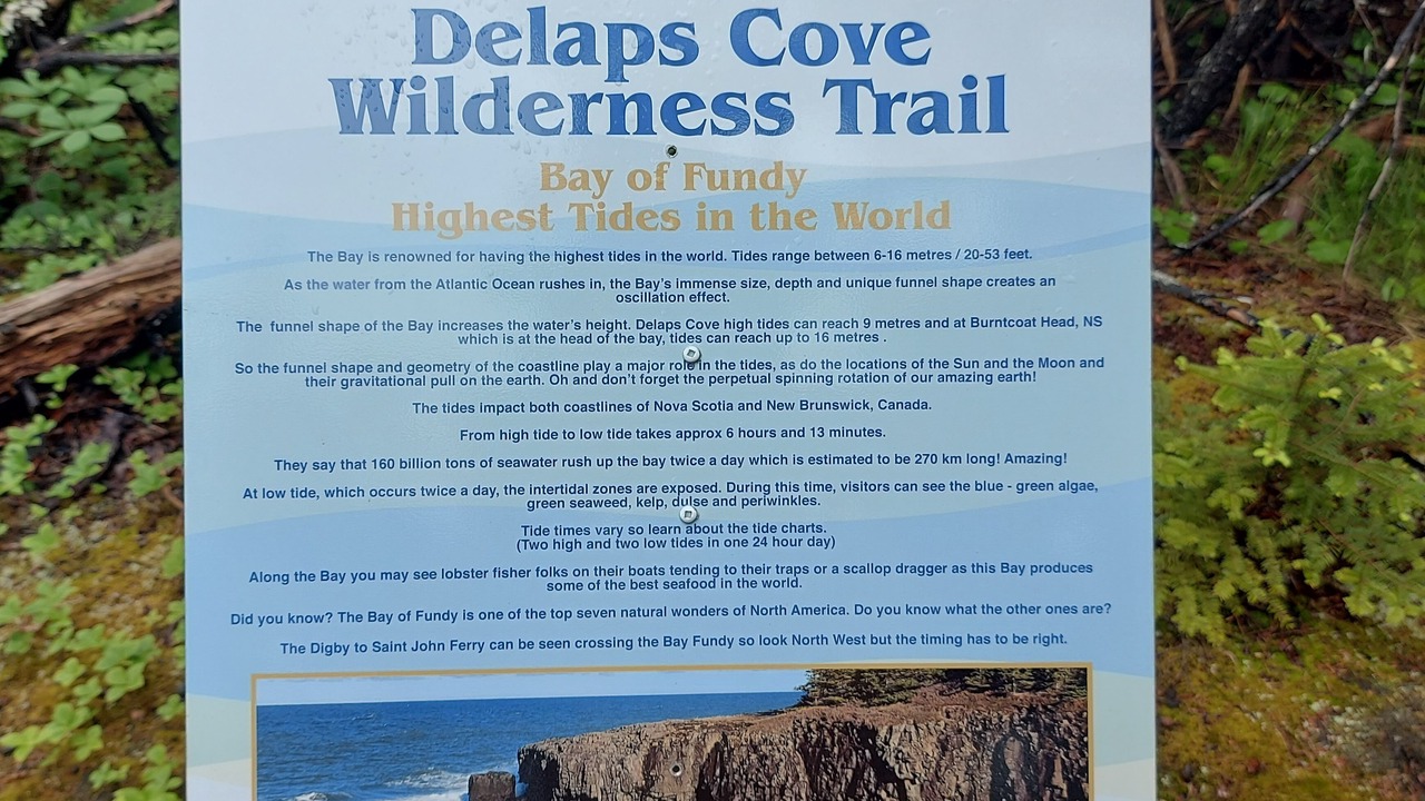 Photo of Others in Delaps Cove
