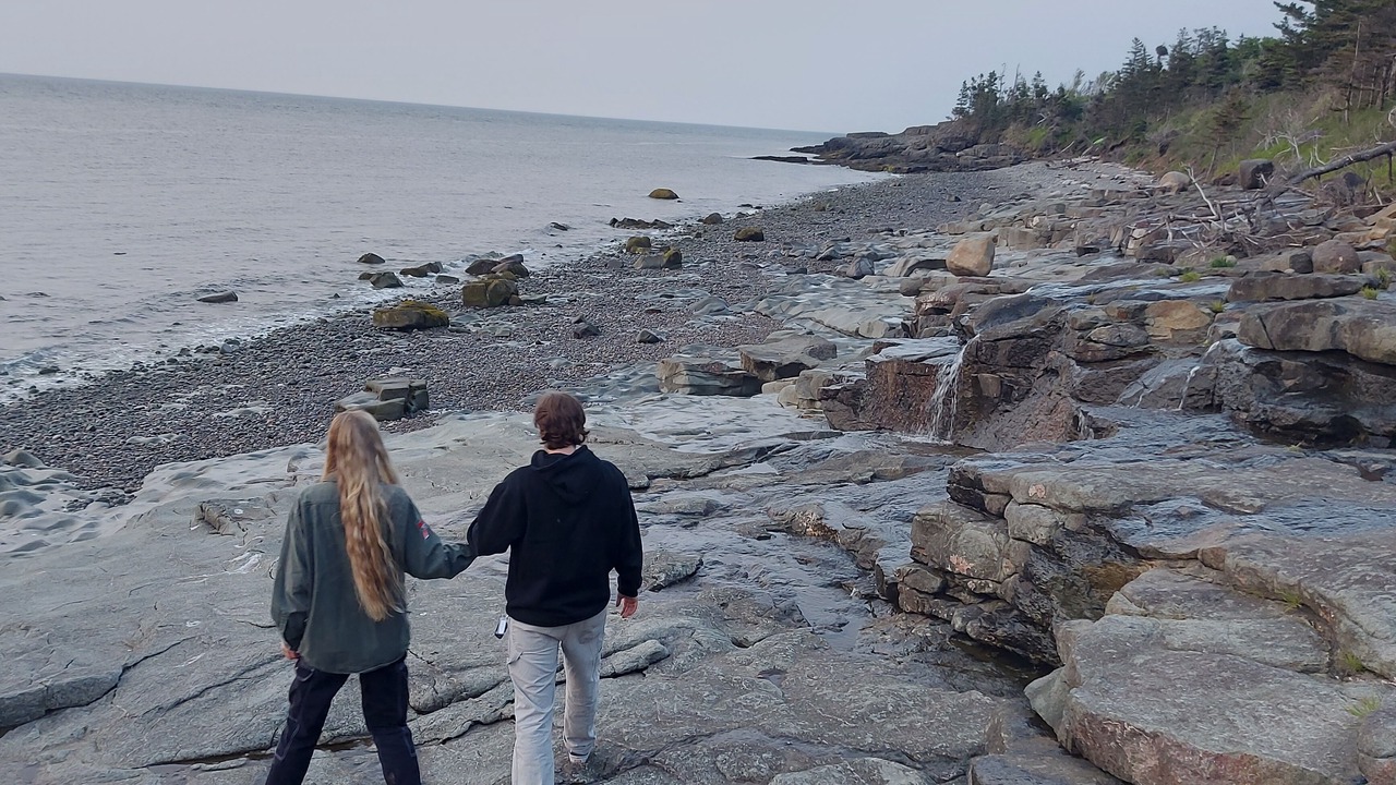 Photo of Others in Delaps Cove