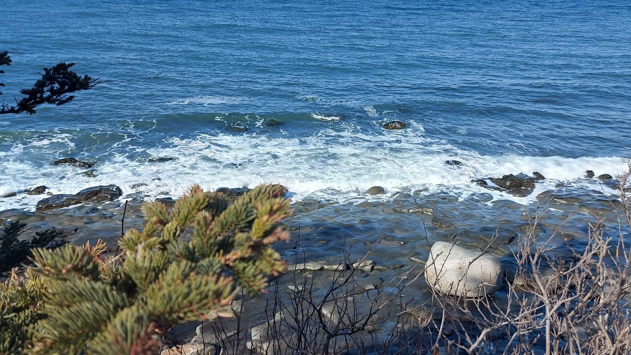 Photo of Others in Delaps Cove