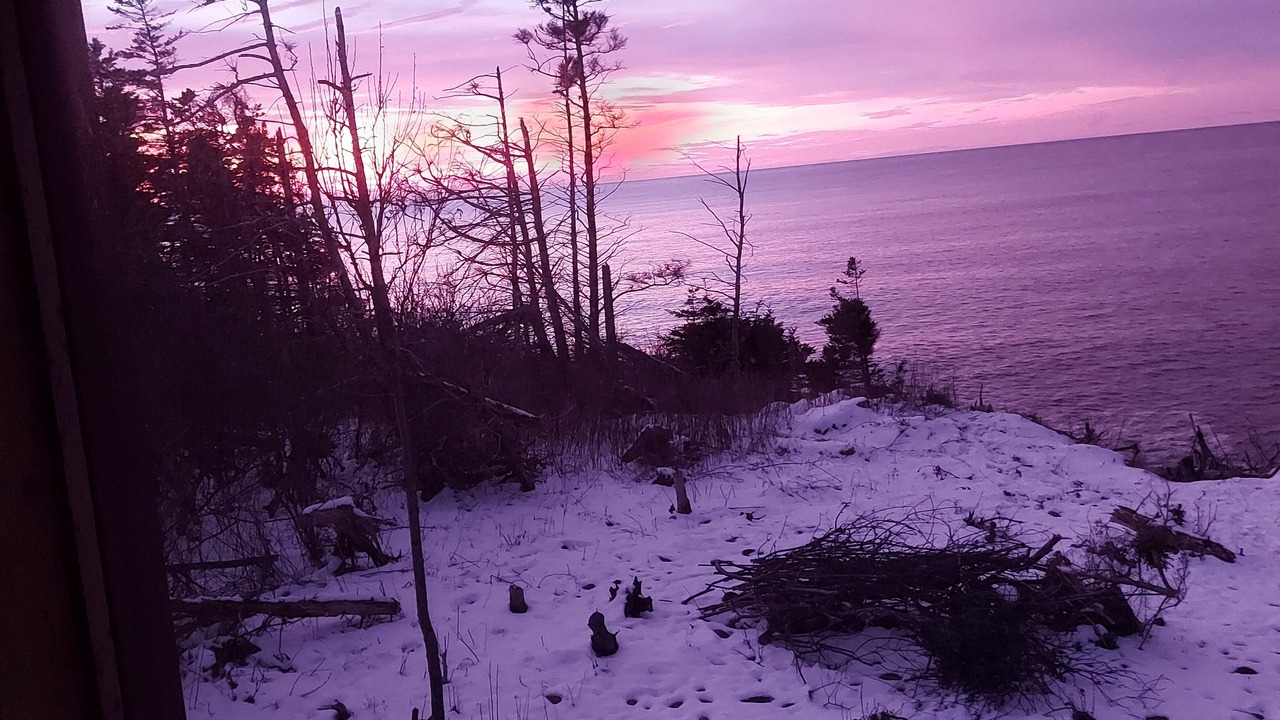 Photo of Others in Delaps Cove