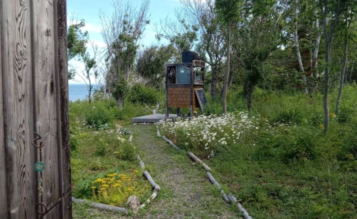 Photo of Others in Delaps Cove