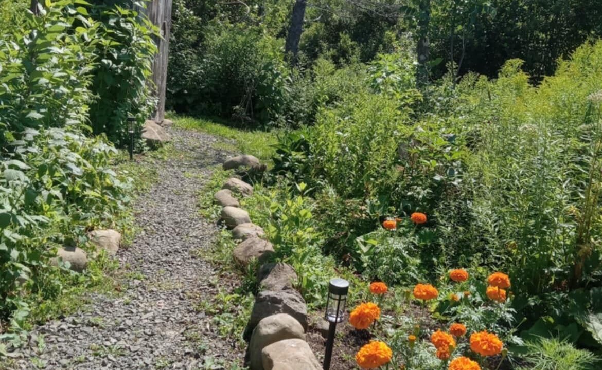 Photo of Outdoor in Delaps Cove
