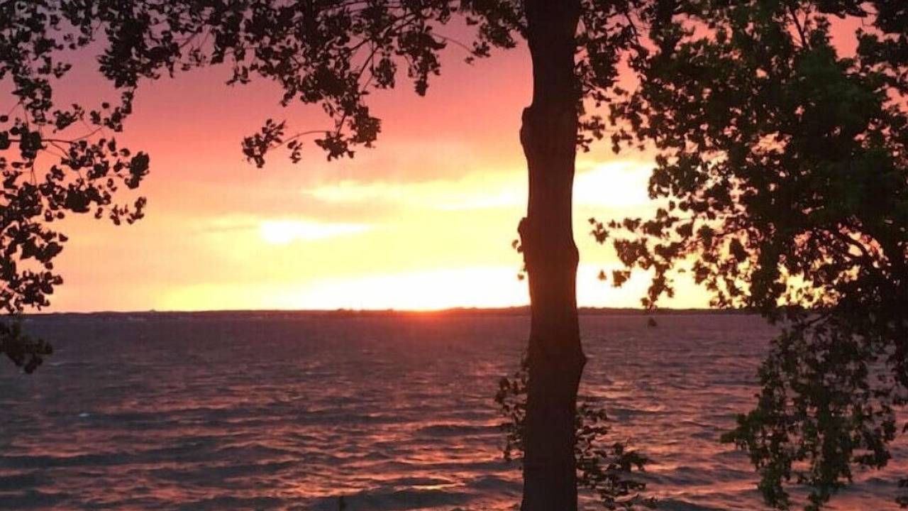 Photo of Others in Alburg