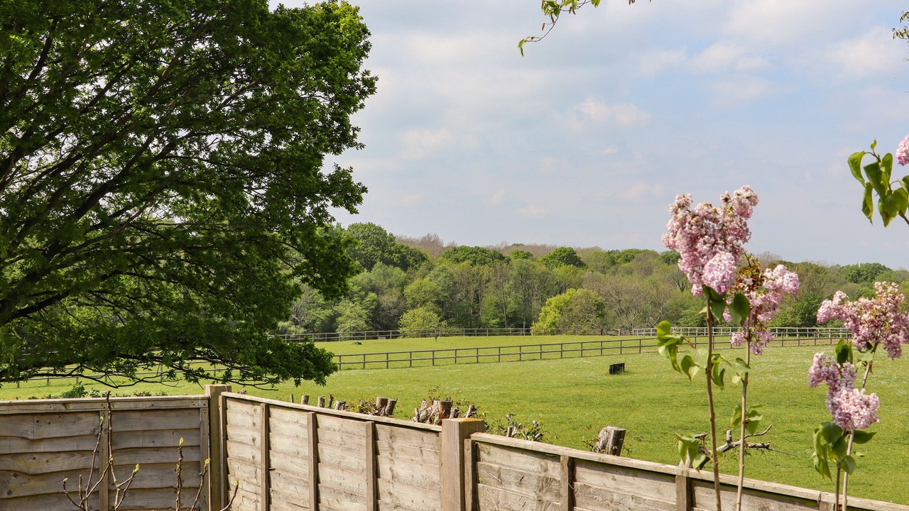 Photo of Outdoor in Beckley