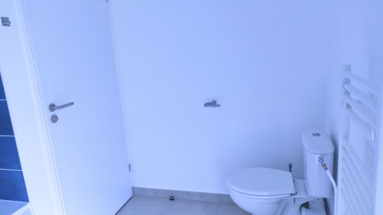 Photo of Bathroom in Benouville