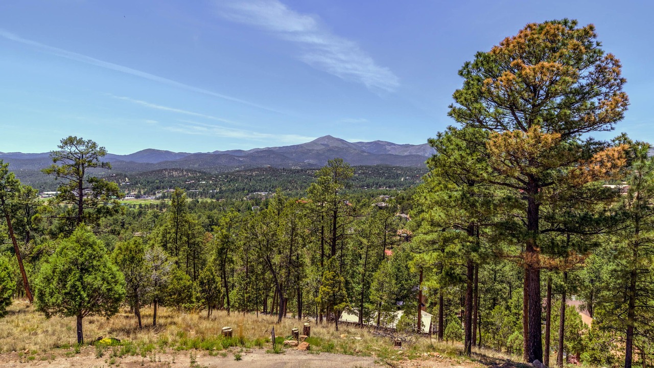 Photo of Others in Ruidoso