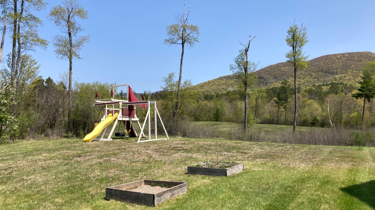 Photo of Others in Dorset