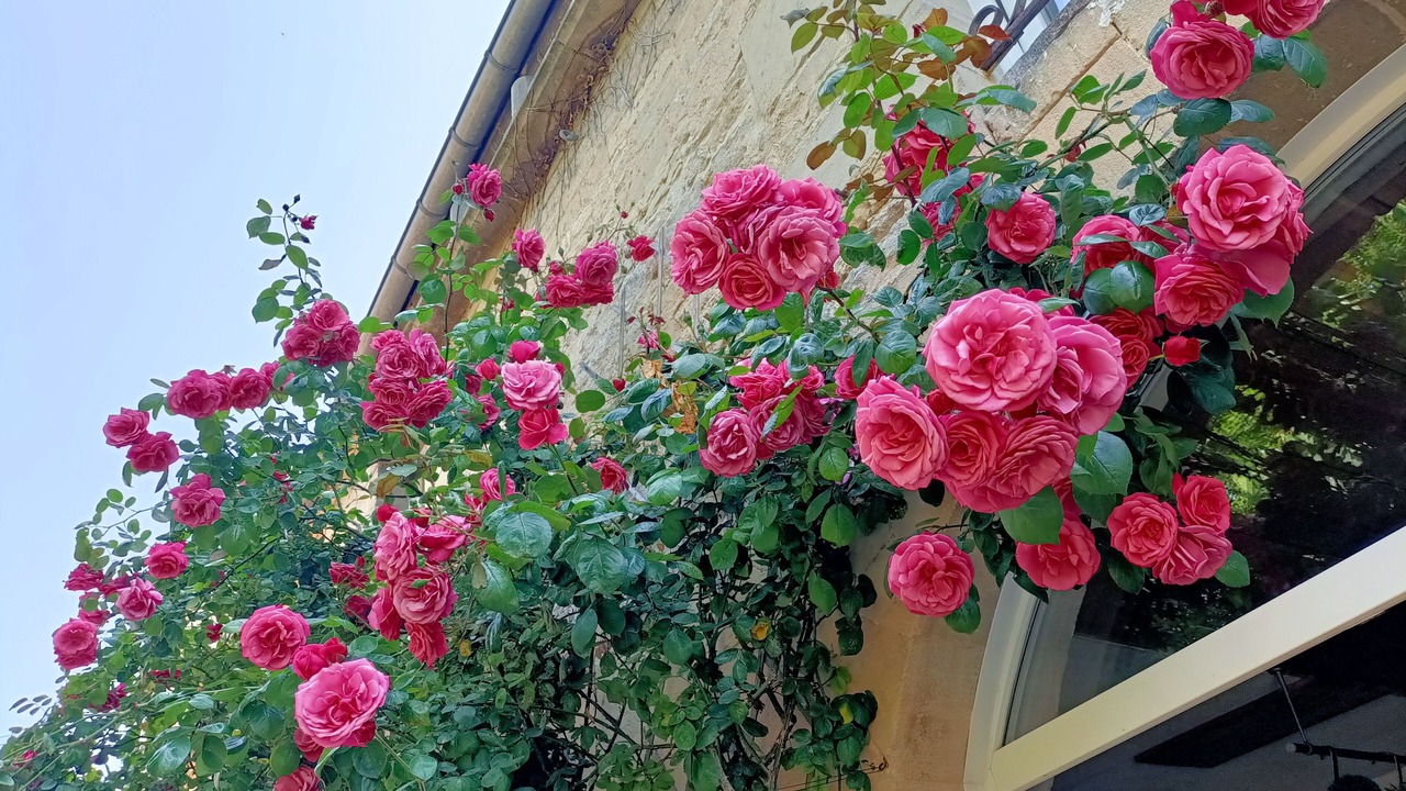 Photo of Outdoor in Creully
