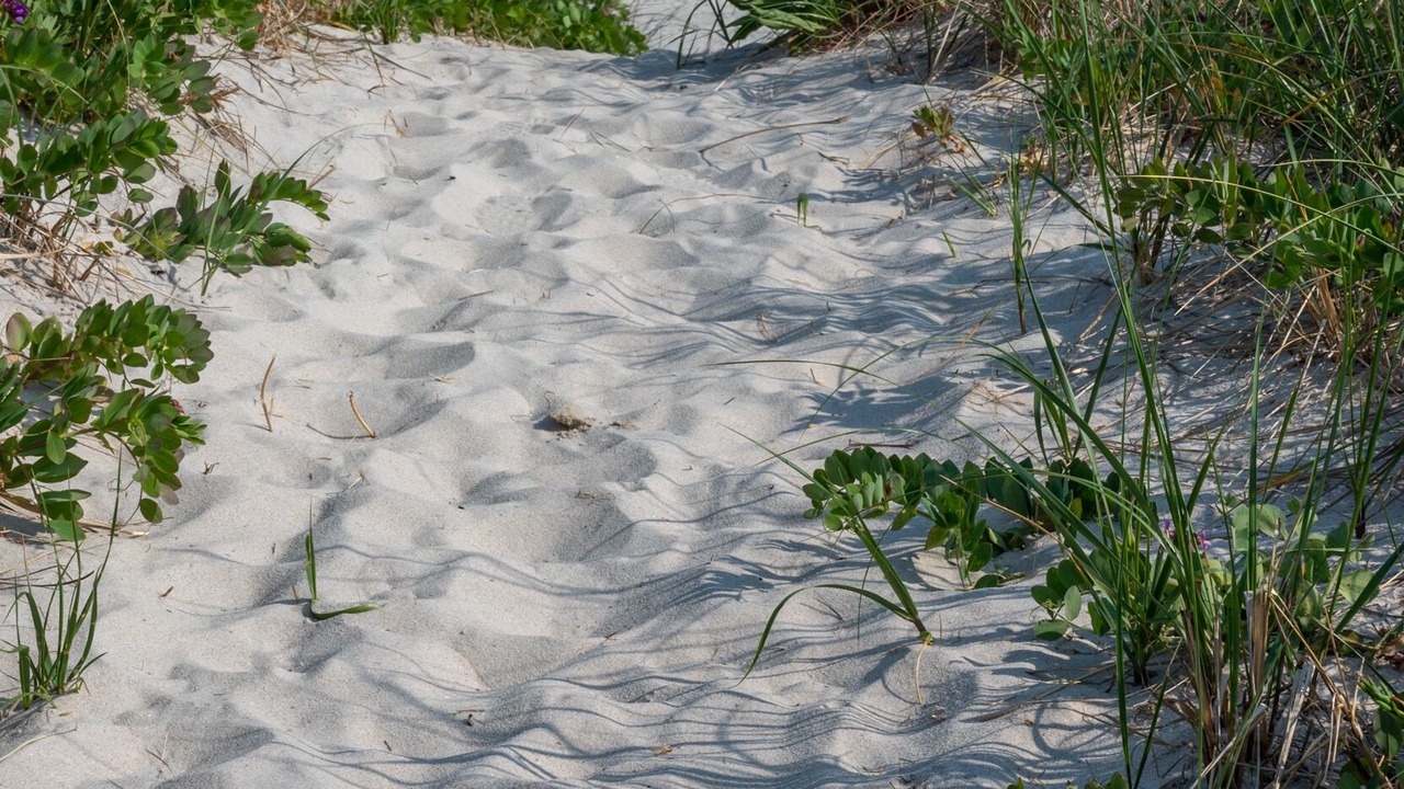 Photo of Others in West Hampton Dunes