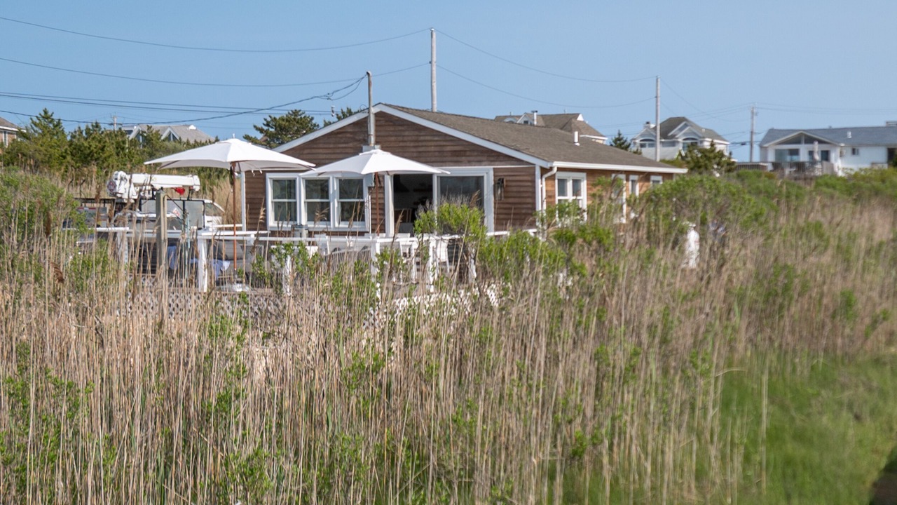 Photo of Outdoor in West Hampton Dunes