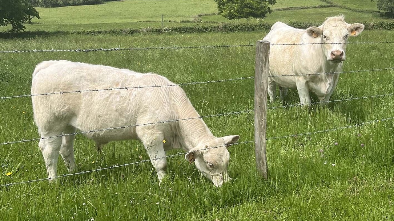 Photo of Others in Teilhet