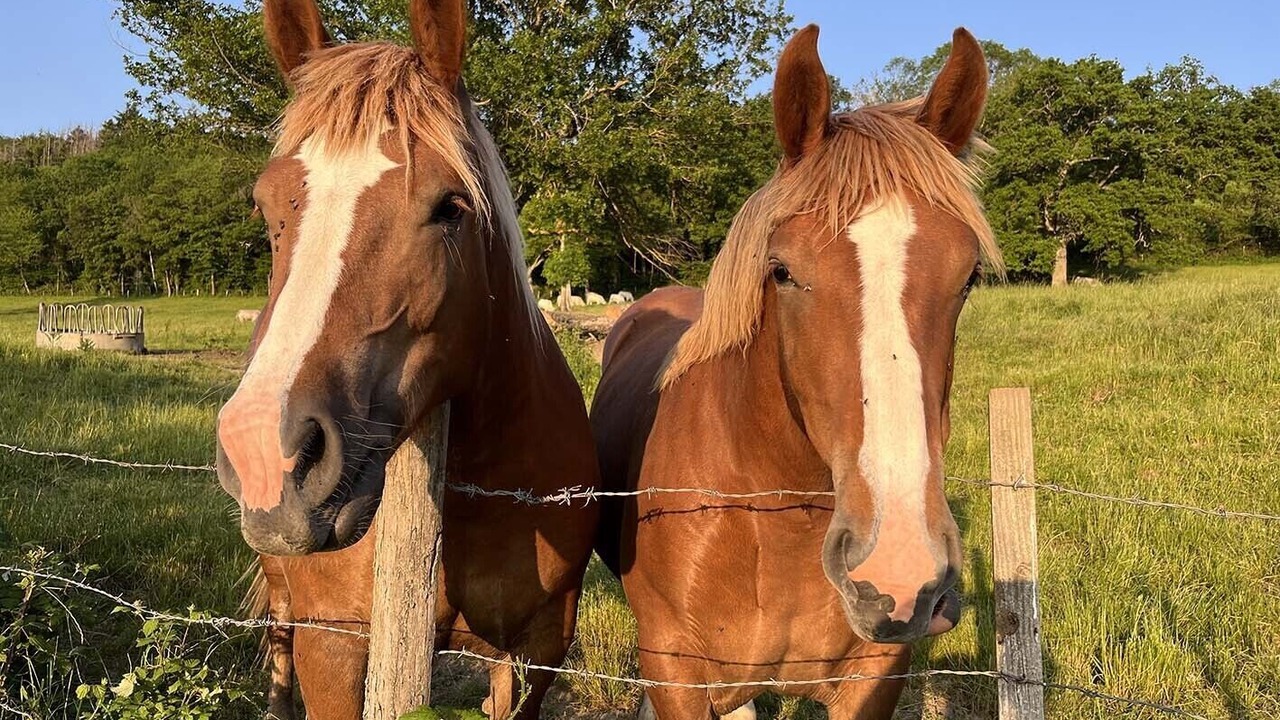 Photo of Others in Teilhet