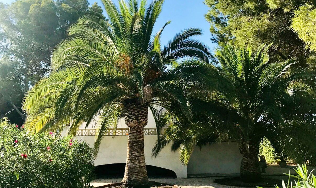 Photo of Outdoor in La Llobella