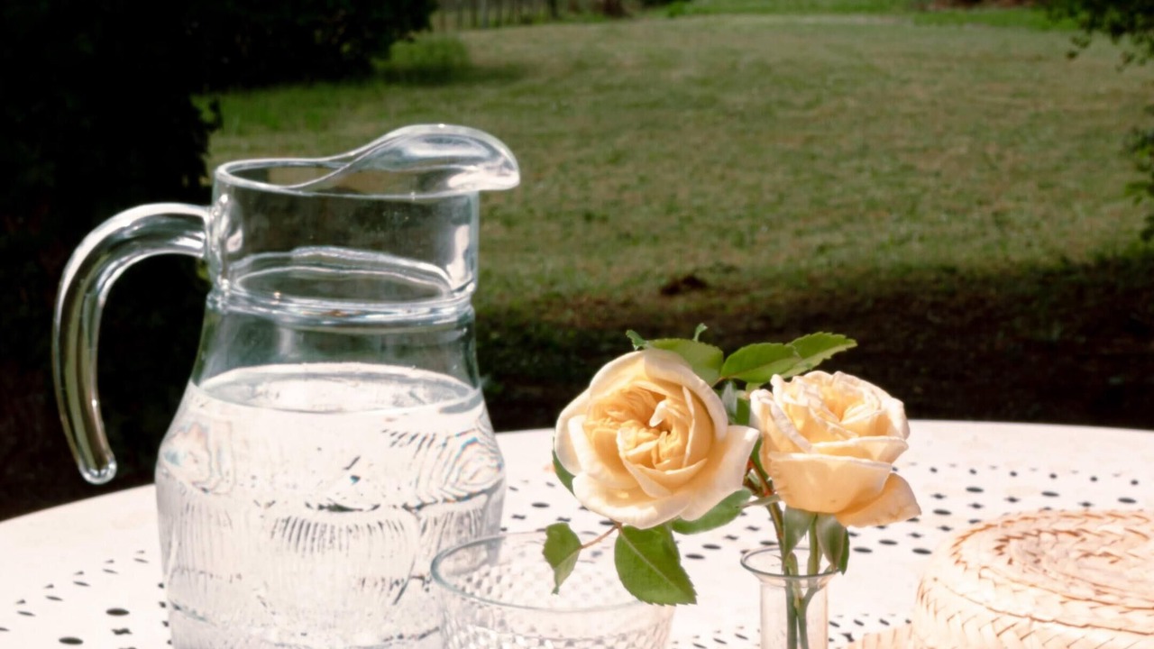 Photo of Others in La Roque-Gageac