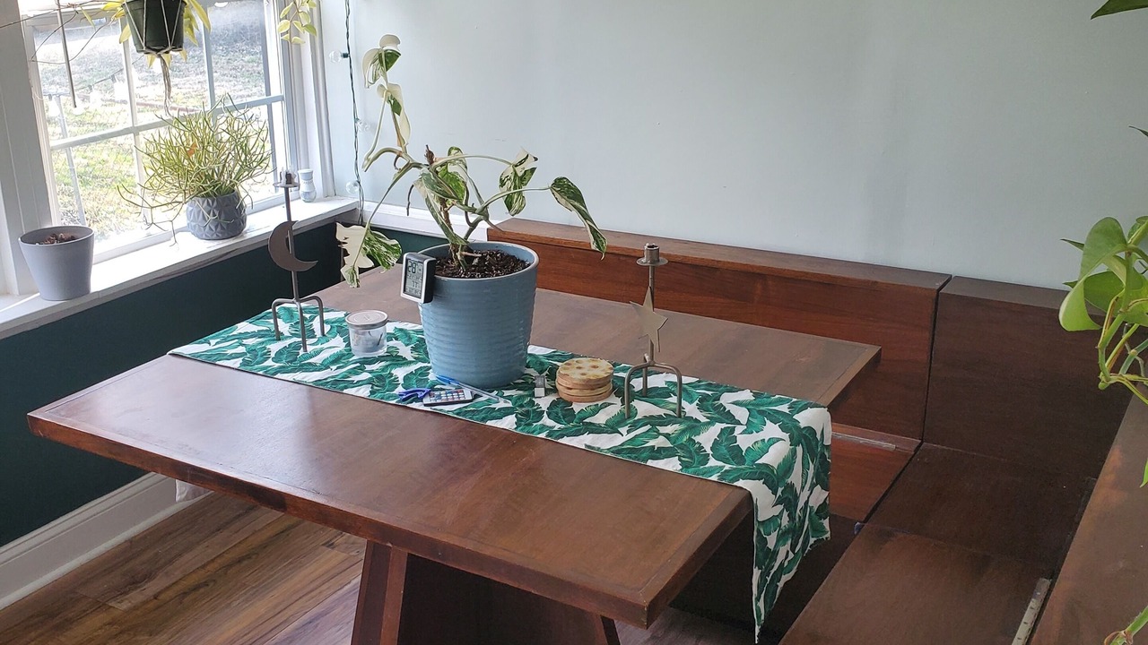 Photo of Others in Wilder Park