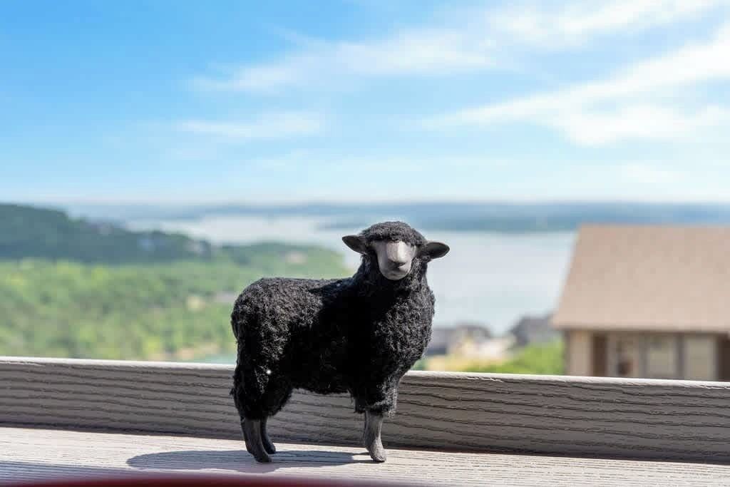 Photo of Outdoor in Indian Point