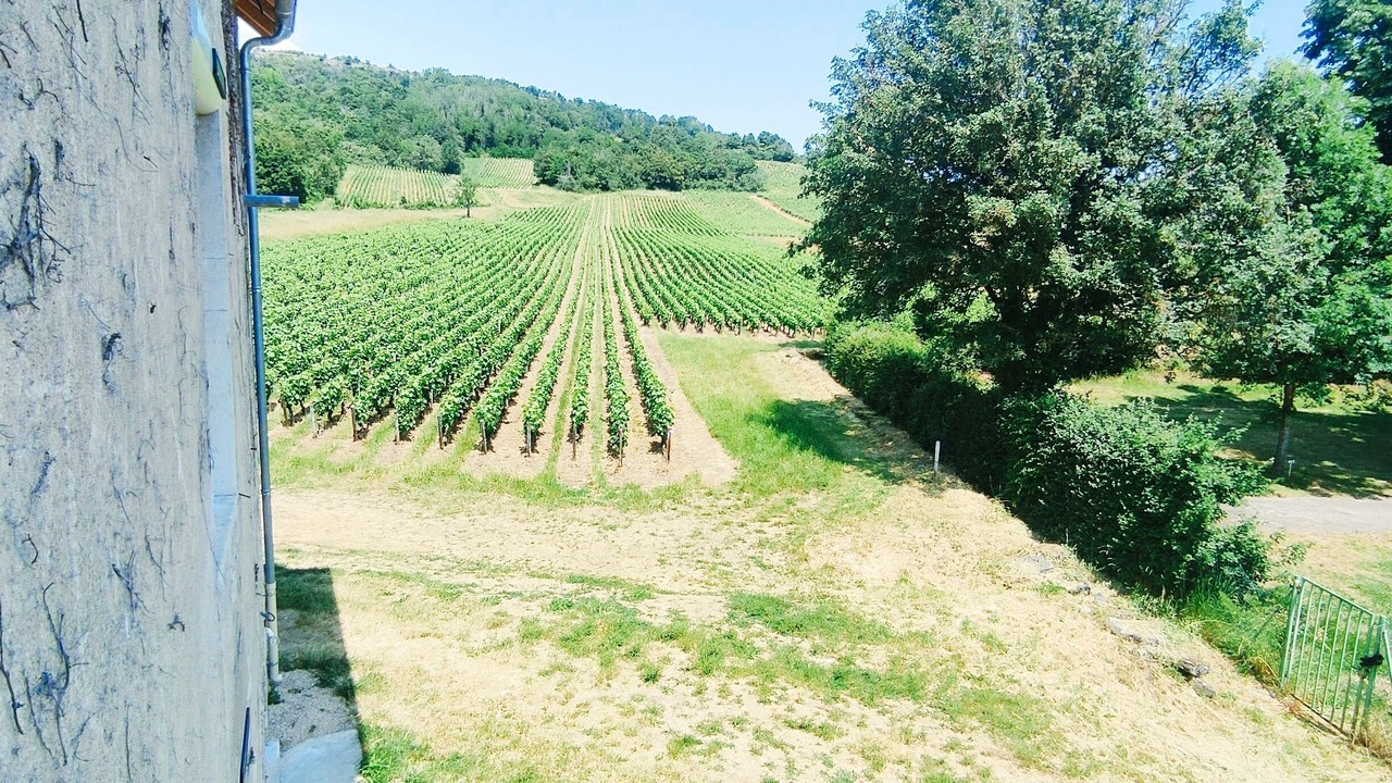Photo of Outdoor in Saint-Jean-de-Vaux