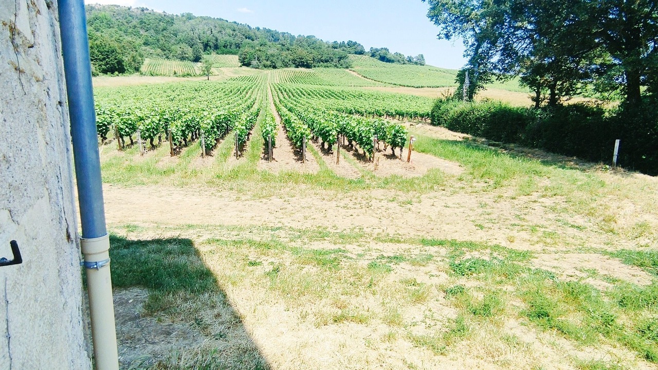 Photo of Outdoor in Saint-Jean-de-Vaux