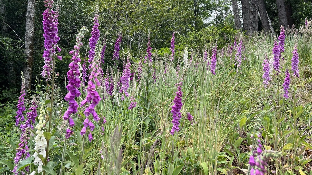 Photo of Outdoor in Brookings