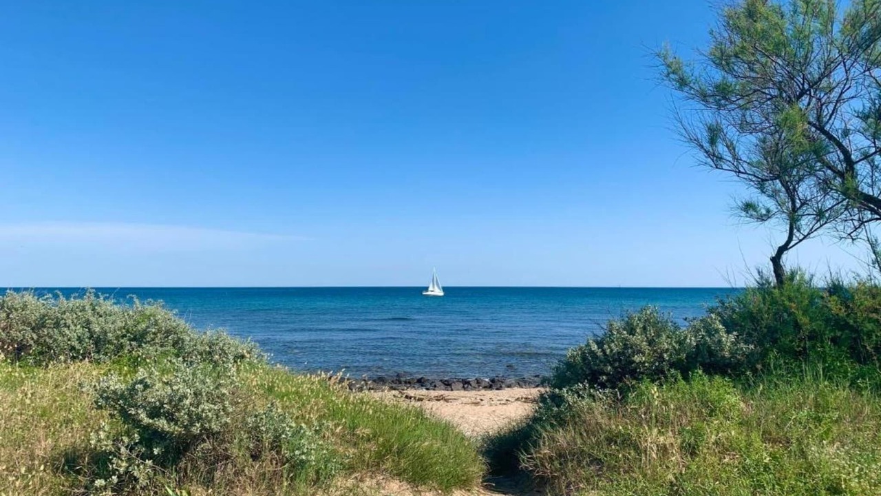 Photo of Others in Le Grau-dʼAgde